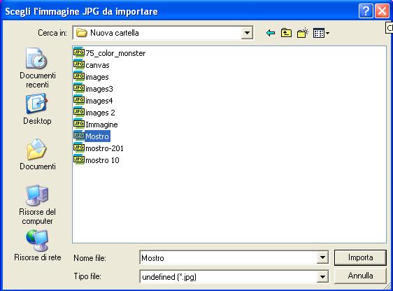 Si apre quindi la finestra da cui scegliere l immagine da importare.