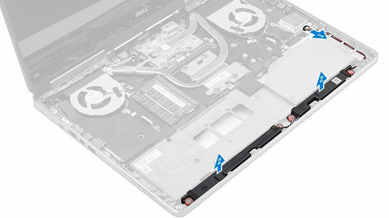 Rimozione degli altoparlanti 1. Seguire le procedure descritte in Prima di effettuare interventi sui componenti interni del computer. 2. Rimuovere: a. coperchio della batteria b. batteria c.