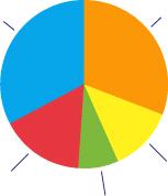 Petrolio 35% Gas 25% 84% 62% 53% 39% Carbone 16% Rinnovabili 10% Nucleare 13%