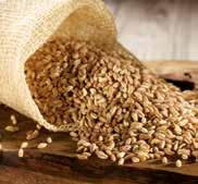 11,67 al kg FARRO PERLATO COOP