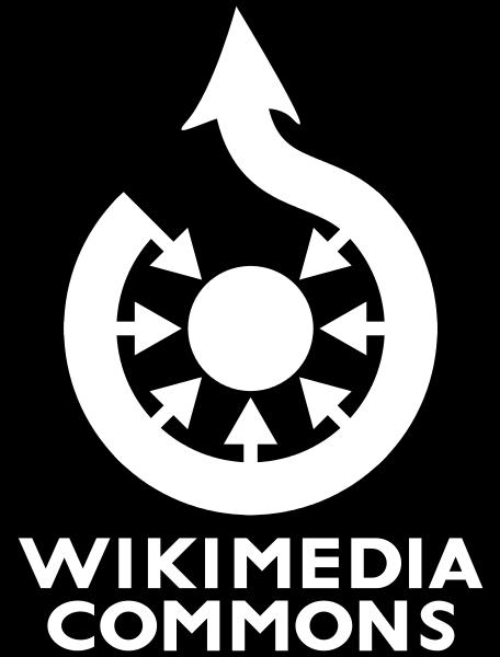 Wikimedia Commons È un archivio centralizzato di immagini, suoni ed altri file multimediali.