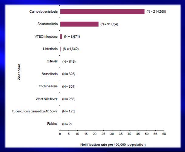 Prevalenza MTA 2011 The EU Summary Report Trends and Sources of Zoonoses and Zoonotic Agents and Food-borne Outbreaks in 2011