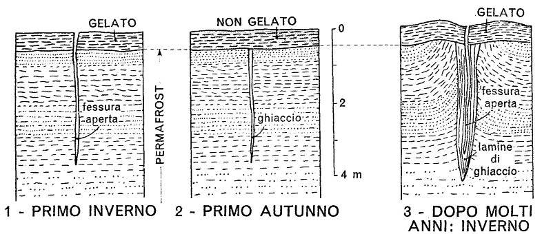 2.4. Depositiperiglaciali -Cunei di ghiaccio (ice wedges) Fessuredovutea contrazionetermicadel suolo NB: -Il ghiaccioha un volume specificosuperiorea quellodell H 2 O; quandosi forma all internodi