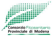 Per ulteriori aggiornamenti si rimanda al sito del Consorzio Fitosanitario (www.fitosanitario.mo.it) OIDIO presenza di sintomi di infezioni primarie in campo; il rischio per la fase epidemica è alto.