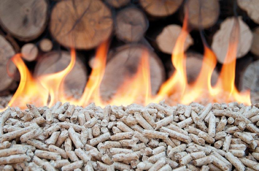 Da Agri-Pet trovi il migliore pellet e la migliore legna da ardere per la tua stufa o il tuo caminetto e