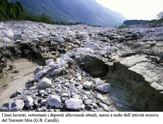 Sedimenti limosi scuri ricchi di sostanza