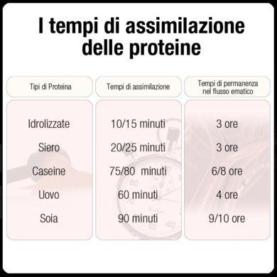 PROTEIC INTAKE A livello gastrico la pepsina (endopeptidasi attiva a ph 2) idrolizza le proteine in peptoni A livello del duodeno agiscono tripsina, chimotripsina (per aminoacidi aromatici) ed