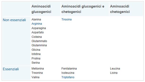 PROTEIC METABOLISM Prevalentemente in fegato e rene Deaminazione ossidativa tramite la glutammicodeidrogenasi (GDH) Transaminazioni, tramite ad esempio glutammico-ossalacetico ossalacetico