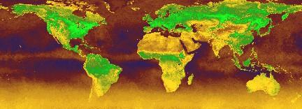 L Indice di vegetazione è dato dalla differenza normalizzata (NDVI, Normalized Difference Vegetation Index) della riflettanza nelle bande dell IR vicino e del Rosso: NDVI = i.r. vicino - rosso rosso + i.