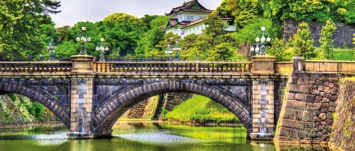 All arrivo, incontro con la guida parlante italiano e visita di mezza giornata della città: il Santuario Heian circondato da incantevoli giardini collegati da piccoli ponti, il Tempio Kiyomizu,