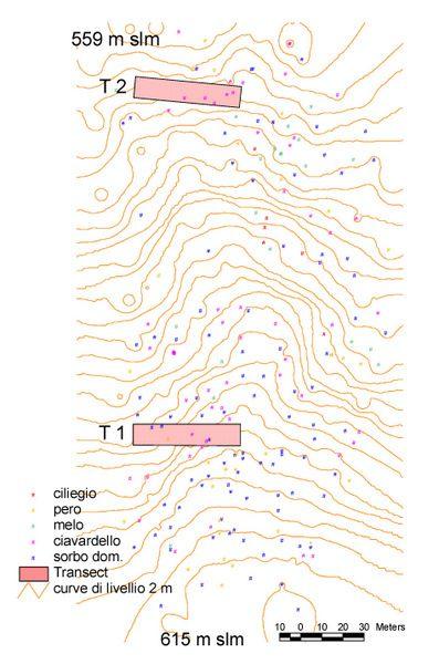 Caratterizzazione di cedui con presenza di rosacee arboree un area di 3 ha posta ad un altitudine di 530-590 m s.l.m. ed esposizione nord. Secondo la Carta dei suoli della Toscana (http://sit.lamma.