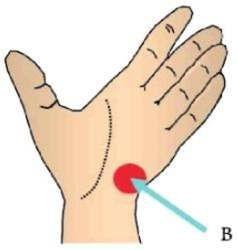 La mano sul centro della Grip deve essere posta con precisione nello stesso punto tutte le volte. 3.