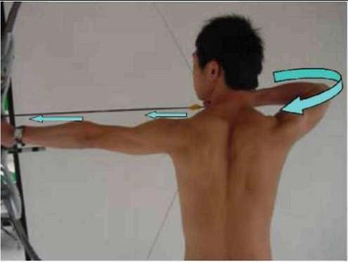 La parte superiore del corpo deve essere centrale e verticale, se non è così, il baricentro del corpo si sposterà al momento della trazione, generando imprecisioni nel tiro.