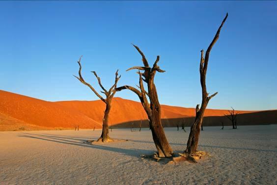 Namibia: Nel deserto in 4x4!