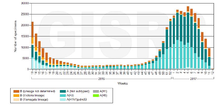 Figura 4 Numero di campioni positivi all influenza per sottotipo. Fonte: Istituto Superiore di Sanità, Sorveglianza virologica dell Influenza Rapporto n. 19 del 29.03.