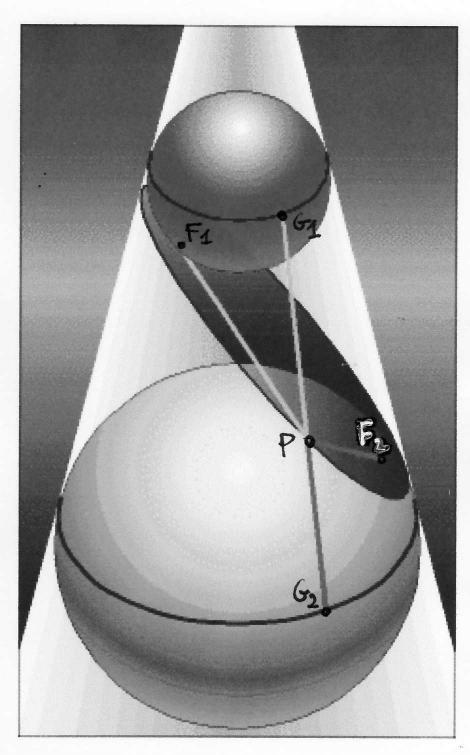 Ciascuna sfera tocca il cono secondo una circonferenza e il piano della curva-sezione in un punto: indichiamo questi due punti di tangenza con F 1 ed F.