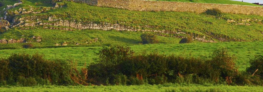 Già i Celti occuparono questo rilievo alto 60 m e il re di Munster vi eresse un forte di pietra (cashel) nel V secolo per controllare da qui gran parte dell Irlanda meridionale.