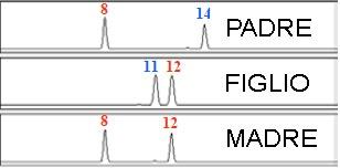 estrazione del DNA da campioni biologici