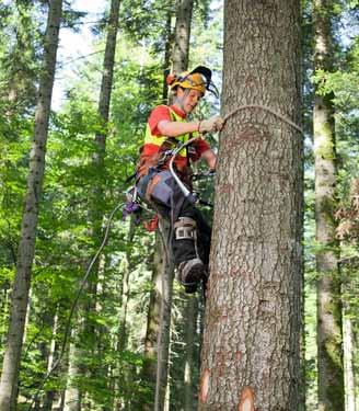 6. Ci proteggiamo contro le cadute. Lavoratore: mi assicuro contro le cadute durante i lavori sui pendii, nell arrampicata sugli alberi e durante gli interventi sulle chiome.