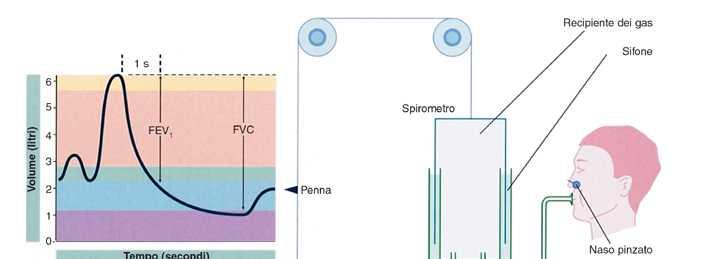 CPT Un test per valutare la funzionalità polmonare e la resistenza delle vie aeree è rappresentato dalla misura, mediante uno spirometro, della capacità vitale