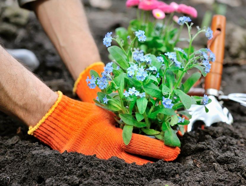 naturali per piante e protezioni