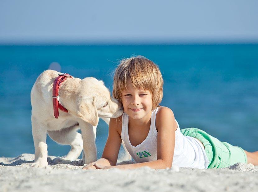 Mare, vacanza, hobby, relax... e tanto amore per i nostri animali domestici Sole, caldo, mare... e tanta voglia di divertirsi con i nostri piccoli animali domestici.