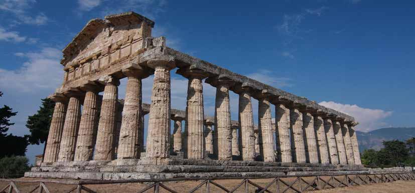 Anche se spesso le incurie rovinano la fruizione del territorio paesaggistico, bisogna riconoscere che quando l agricoltura campana viene effettuata con dovizia, i paesaggi arricchiti da immense