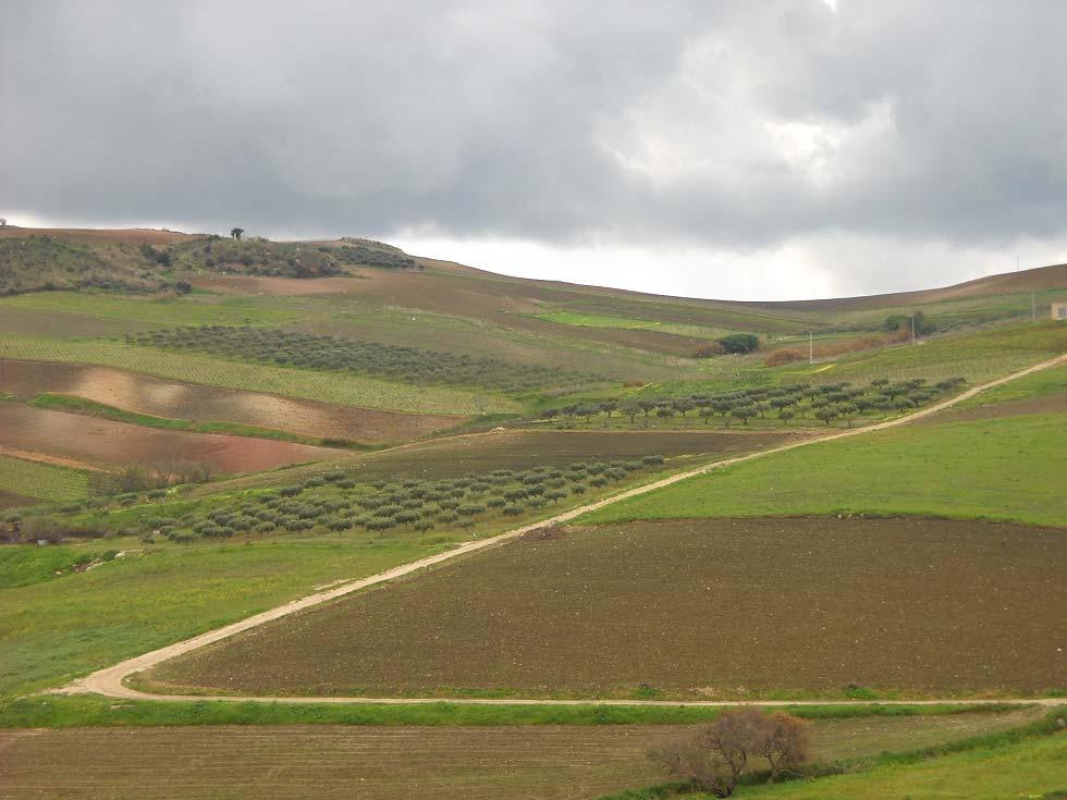 Gran parte dell'assetto territoriale europeo