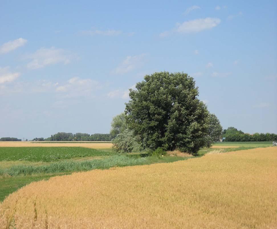 Nell'ambito della relazione tra archetipi culturali europei e percezione paesaggistica,