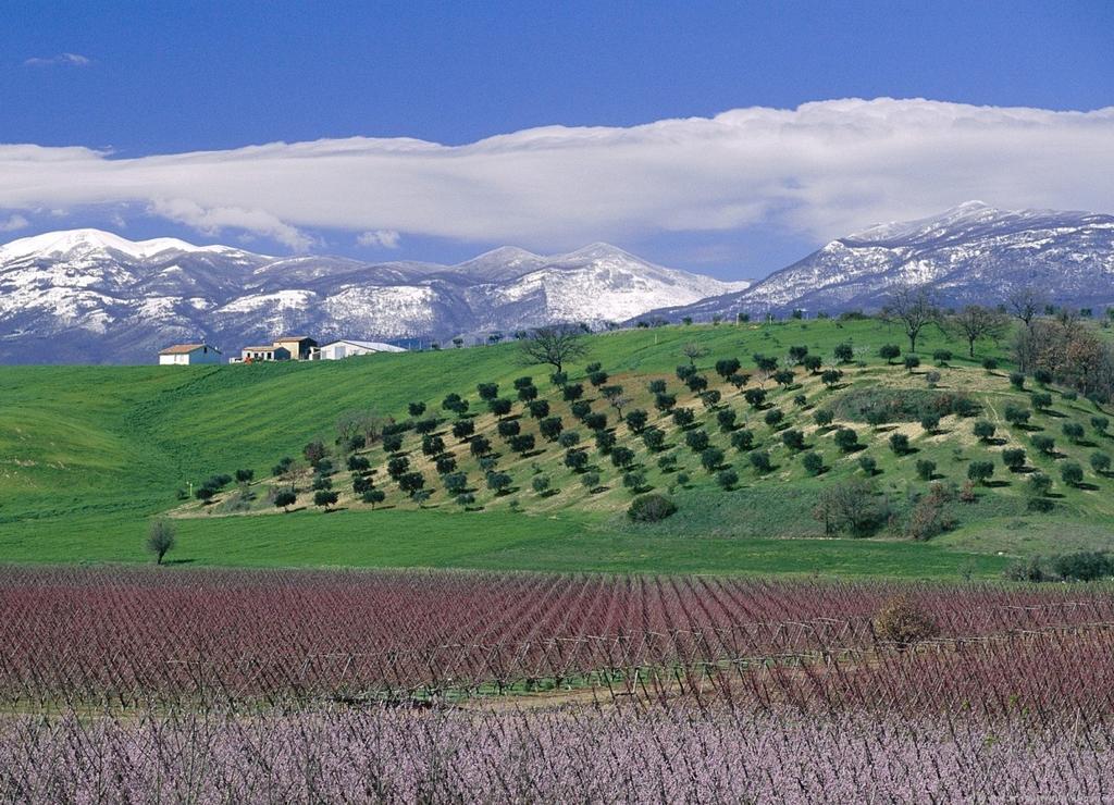 .. determinato dalla continuità di gesti agricoli che nei secoli si sono susseguiti,