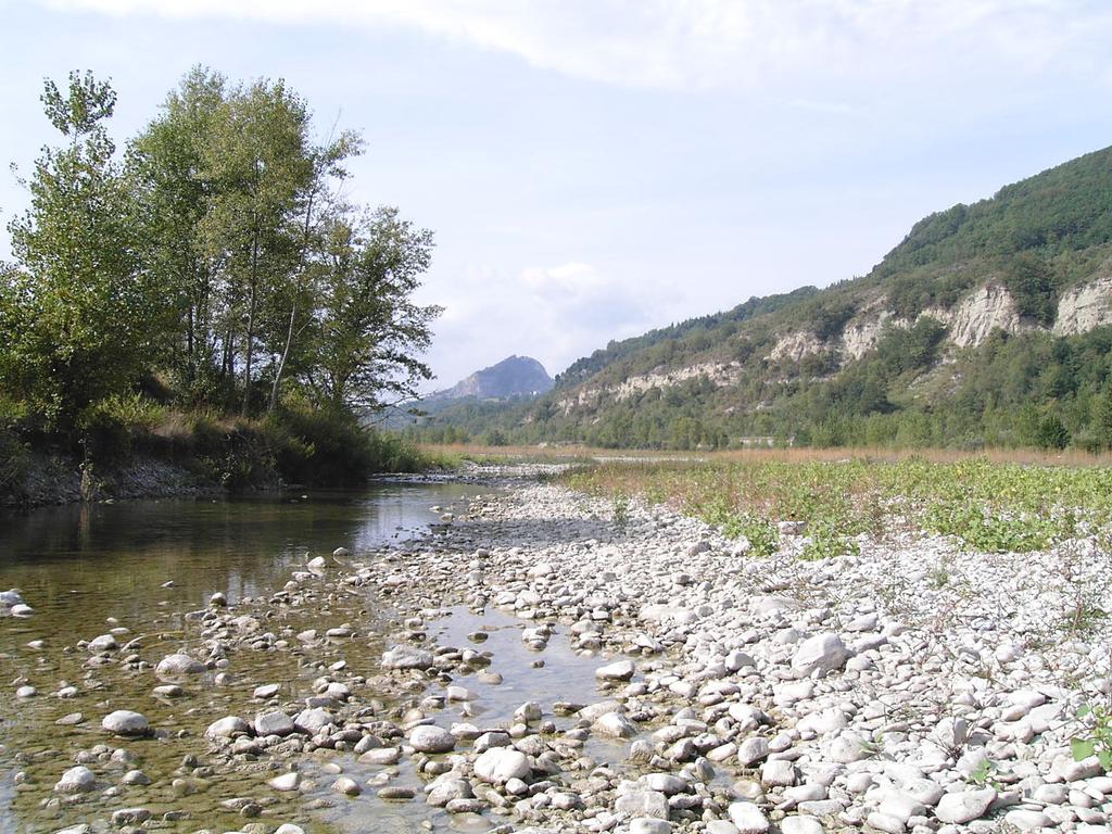 Bacino idrografico Marecchia Corpo idrico Fiume Marecchia Codice (rete 2 grado) (Denominazione) 19000101 (MAR 2) Localizzazione A valle immissione torrente Mazzocco Lo Stato Ecologico del fiume