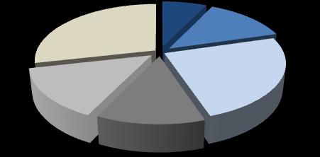 Le società emittenti: leva finanziaria L indebitamento delle società emittenti Cluster di leva finanziaria PFN/EBITDA (tutte le società emittenti) 29% 7% 13% Il 55% delle società che hanno emesso un