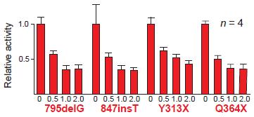 Competition assay: Vettori SOX mutati e Wt co-transfettati in cellule eucariotiche insieme a un vettore luciferasi avente un promotore