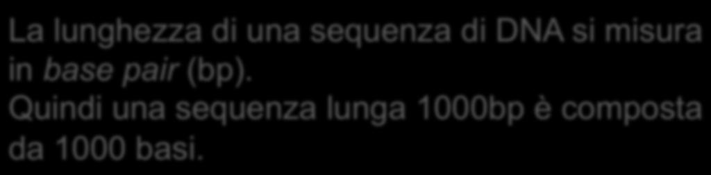 alfabeto Σ={A,C,G,T} La lunghezza di una sequenza di DNA si misura