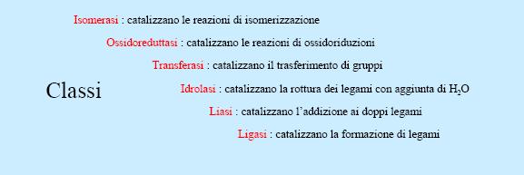 La maggior parte degli enzimi portano nella loro molecola una parte non proteica.