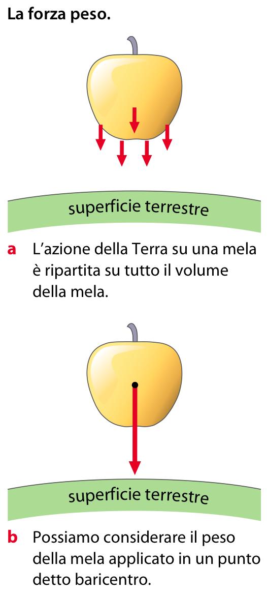 Le forze La forza di gravità o forza-peso è una forza a distanza esercitata dalla Terra su tutti i corpi: - agisce lungo la verticale del luogo in cui