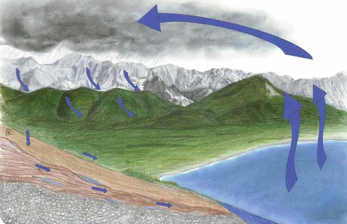 La vicinanza al mare Tirreno ha una forte infl uenza sul clima dell area: i venti occidentali che giungono dal mare carichi di umidità per superare la barriera apuana sono costretti ad innalzarsi