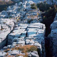 Il percorso didattico dell Orto botanico Il carsismo delle Alpi Apuane IL CARSISMO Le Alpi Apuane rappresentano una delle aree carsiche più importanti d Italia; vi si contano quasi 1000 grotte.