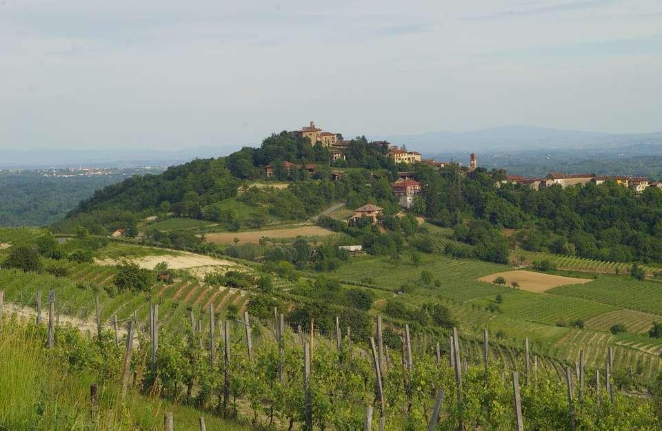 IL PAESAGGIO STORICO DELL ULIVO: IN PIEMONTE ( ) il ripiantar gli oliveti e il trarne frutto esige una cura ed un tempo considerabile, quando che le viti danno in pochi anni abbondonevole prodotto,