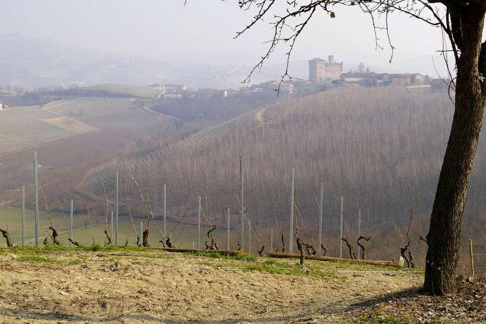 Grazie per l attenzione il paesaggio costituisce una risorsa favorevole all'attività economica, se salvaguardato,