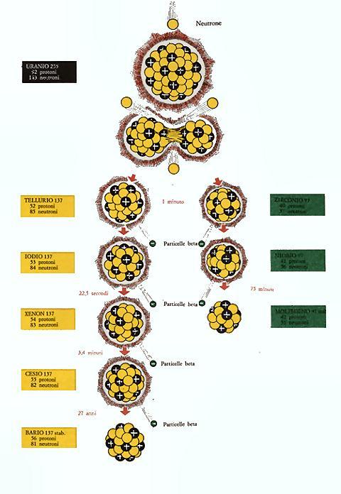 Aspetti fisico-ingegneristici introduttivi ai reattori nucleari Ogni reazione di fissione indotta da un neutrone su tutti gli isotopi fissili ( 233 U, 235 U, 239 Pu) e fissionabili ( 238 U) di un