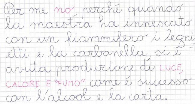 Riflettiamo Secondo te, dopo aver visto il fenomeno della combustione dei legnetti e della carbonella, la