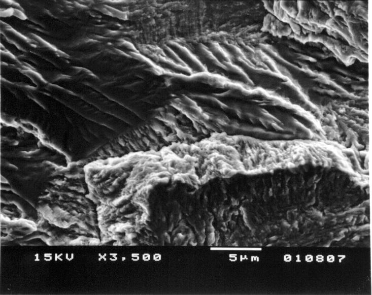 microporosità, ed una più fine distribuzione delle due fasi, implica, nel caso dell acciaio solubilizzato, una quasi assenza di