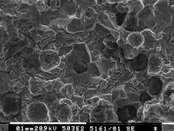 5; K = 5 MPa m). Figura 22: Ghisa sferoidale ferrito-perlitica.