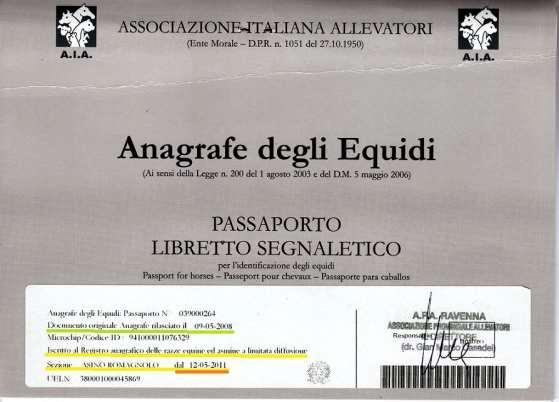 PASSAPORTO Gli equidi devono essere identificati e muniti di microchip impiantati nel collo e di passaporto ai sensi del Regolamento (CE) n. 504/2008. L art.