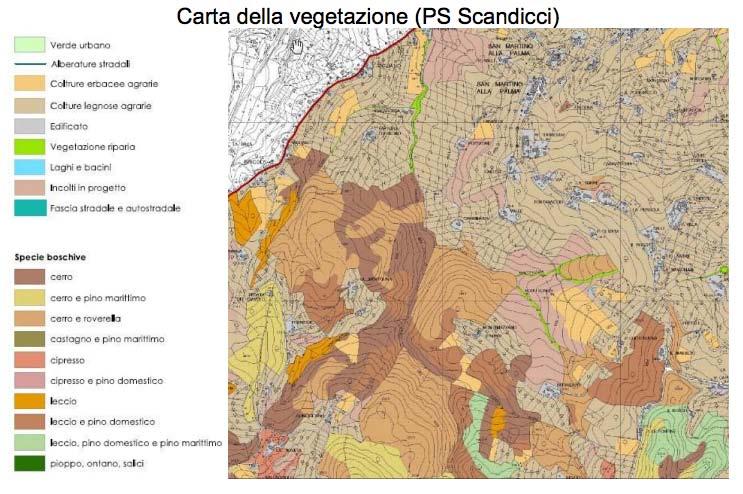 Carta della