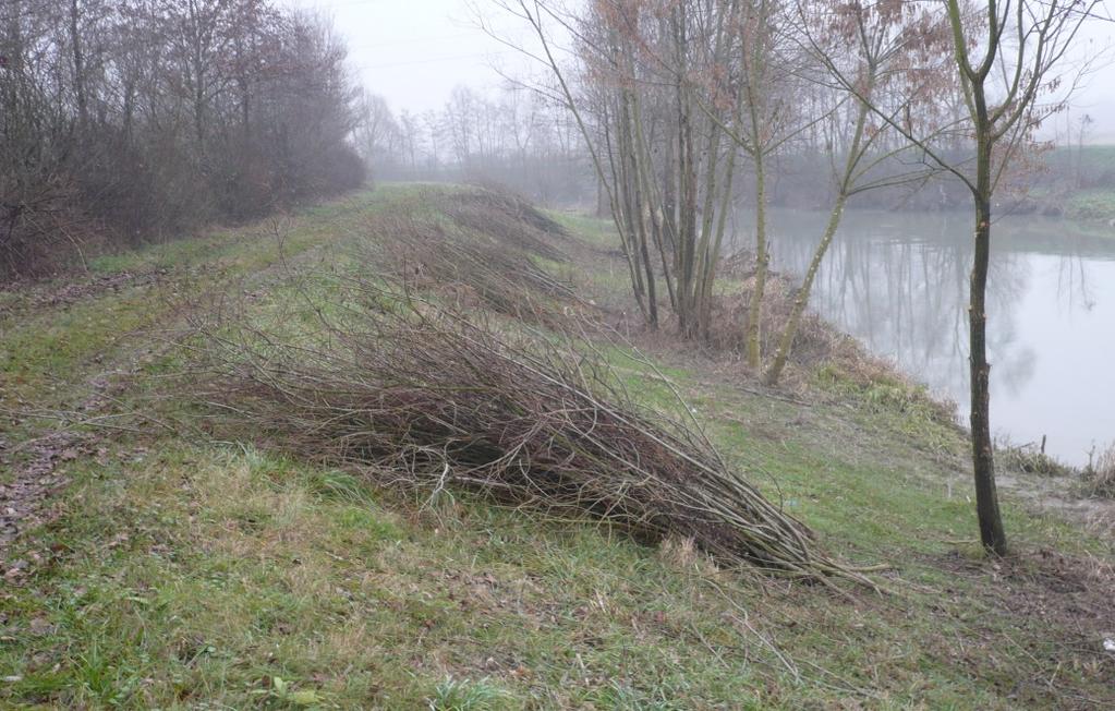 del legno (bacino scolante e laguna).