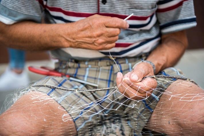 Nelle Isole di Burano e Pellestrina ancora operano, in forma cooperativa, alcune centinaia di pescatori locali, con le tecniche