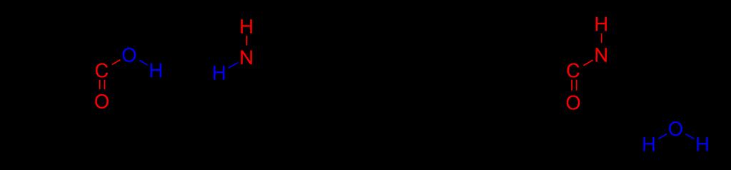 Il legame peptidico Il legame peptidico è un legame covalente, molto resistente che si origina fra il gruppo amminico di un amminoacido ed il gruppo carbossilico dell amminoacido che