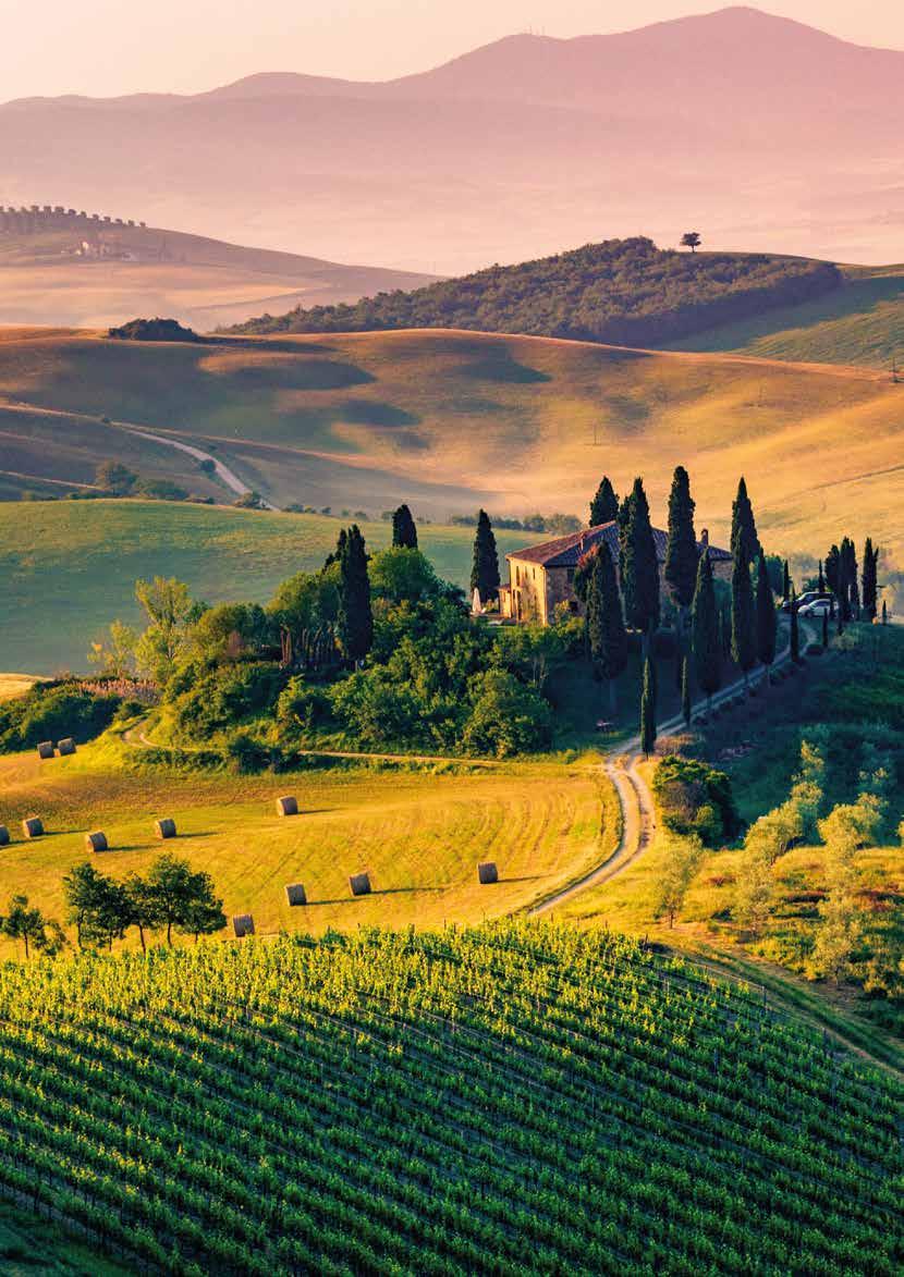 Dalle colline di Langa nasce il Panettone Naturale